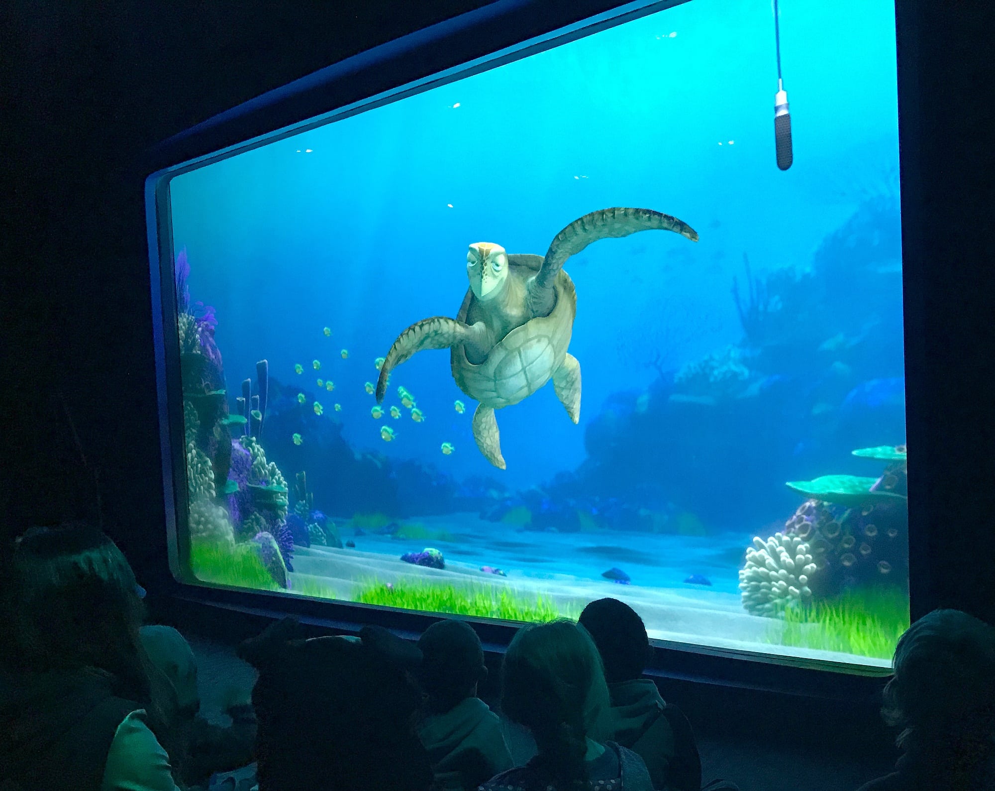 Kids learn about sea turtles and the ocean at Turtle Talk with Crush ~ Educational Things to Do at Disneyland with Kids