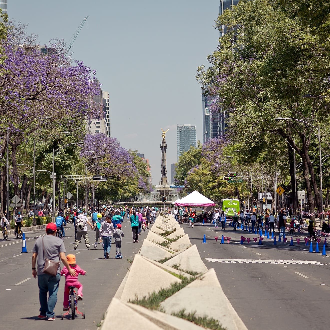 There's so much to explore in Mexico City with kids!