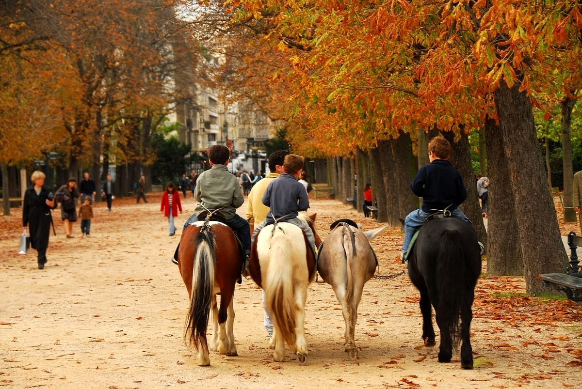 Kids can ride ponies at Jardin du Luxembourg 