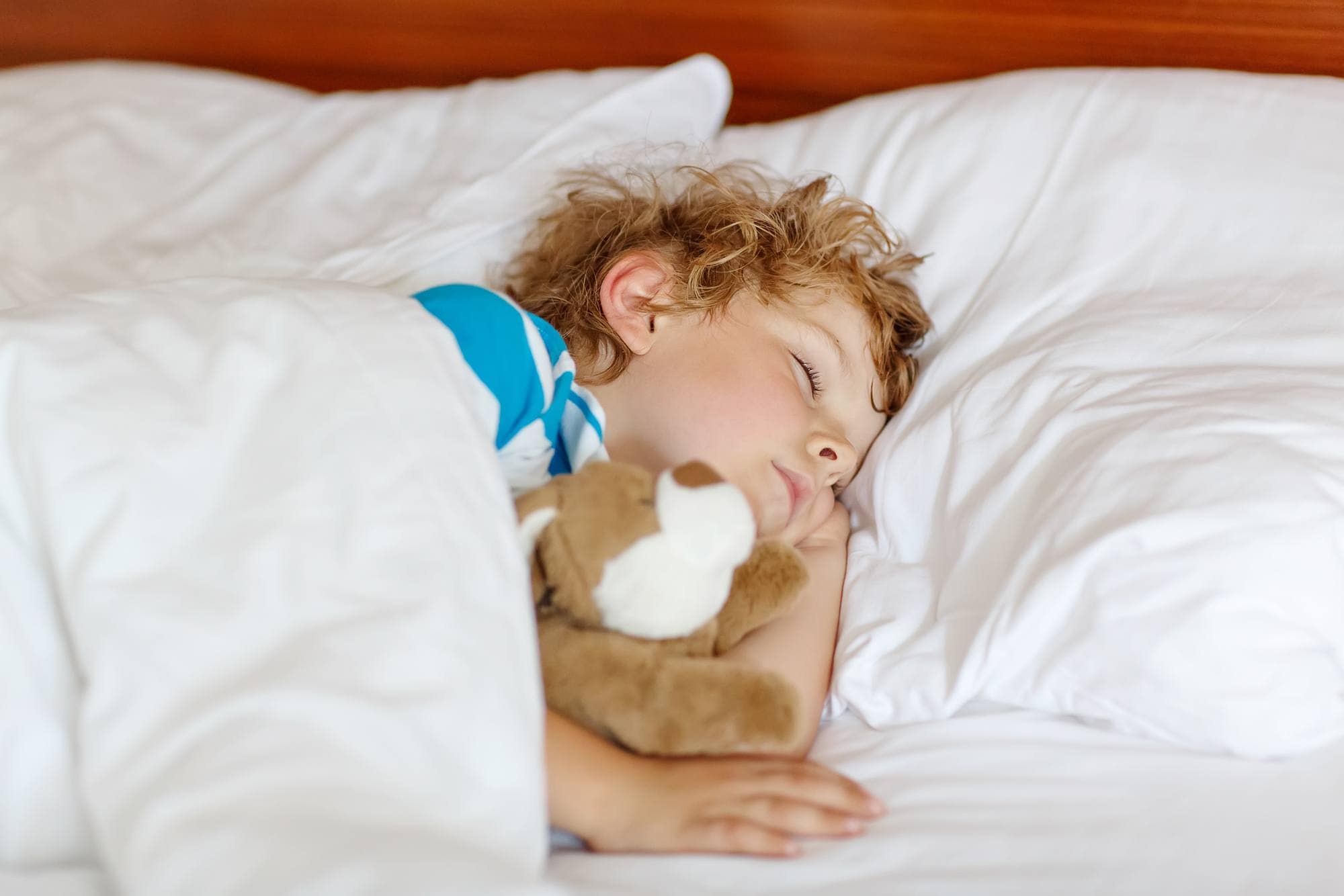 Young child sleeping with a stuffed toy