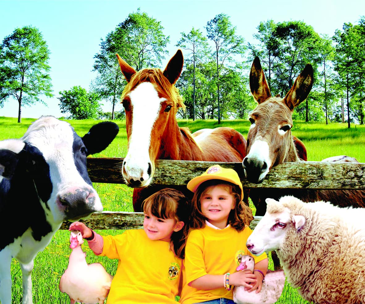 Children learn all about animals and farm life at Farm Tio Pepe ~ Mexico City with Kids