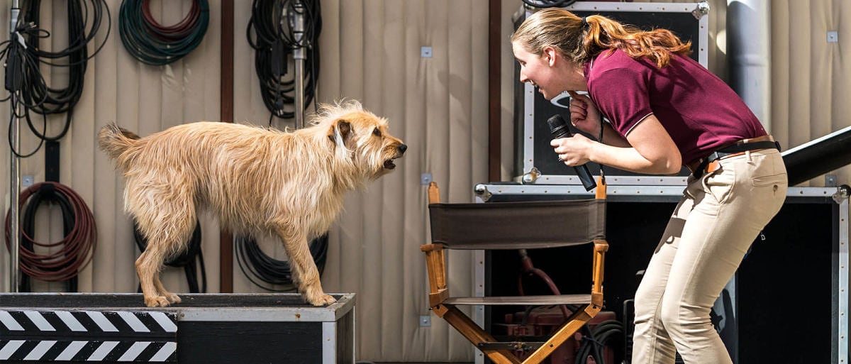 Universal’s Animal Actors show