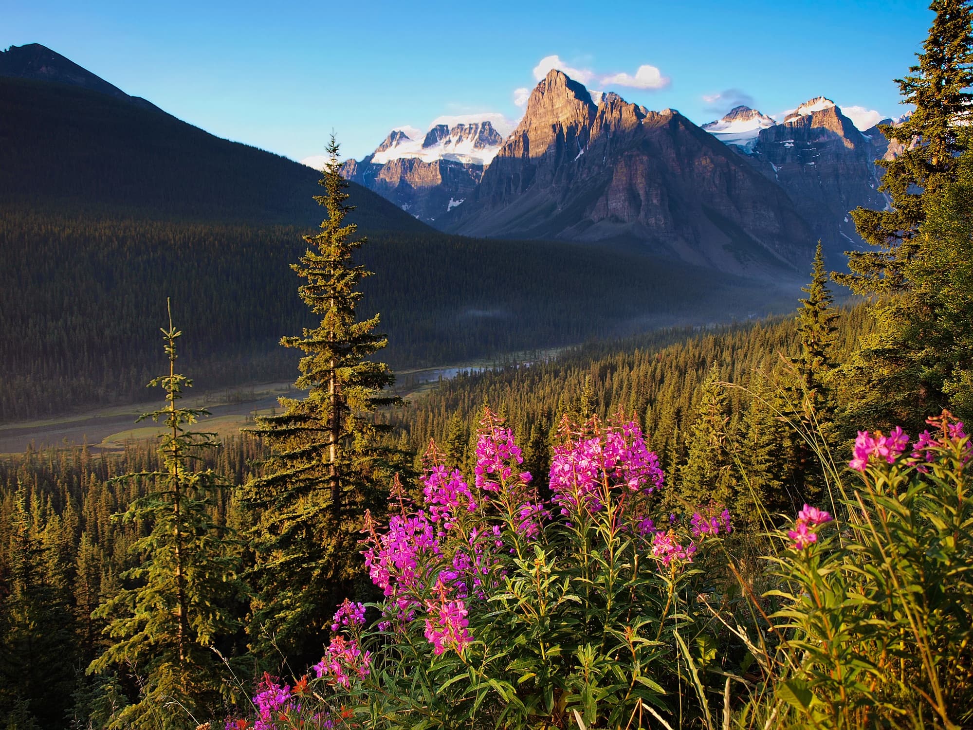 Hiking is a must when visiting Banff National Park with kids 