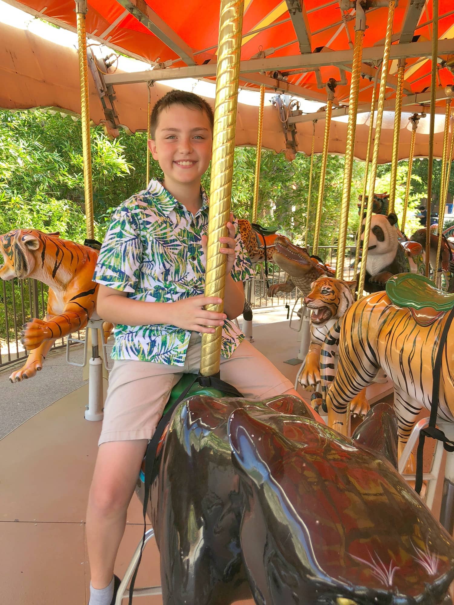 Carousel at the Phoenix Zoo with kids