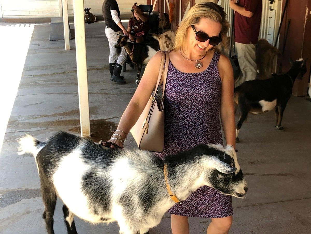 Keeping comfy and cool in my Columbia PFG Freezer III dress in the petting zoo 