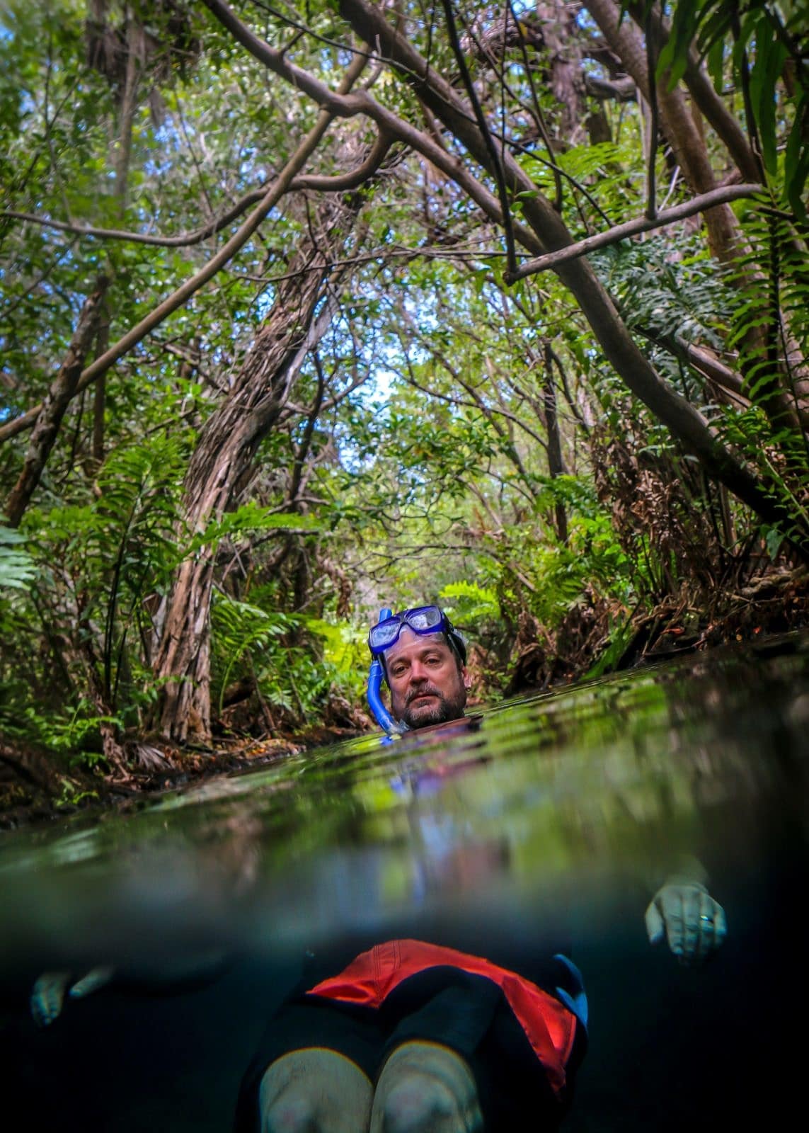 Rio Selva at Hacienda Tres Ríos 