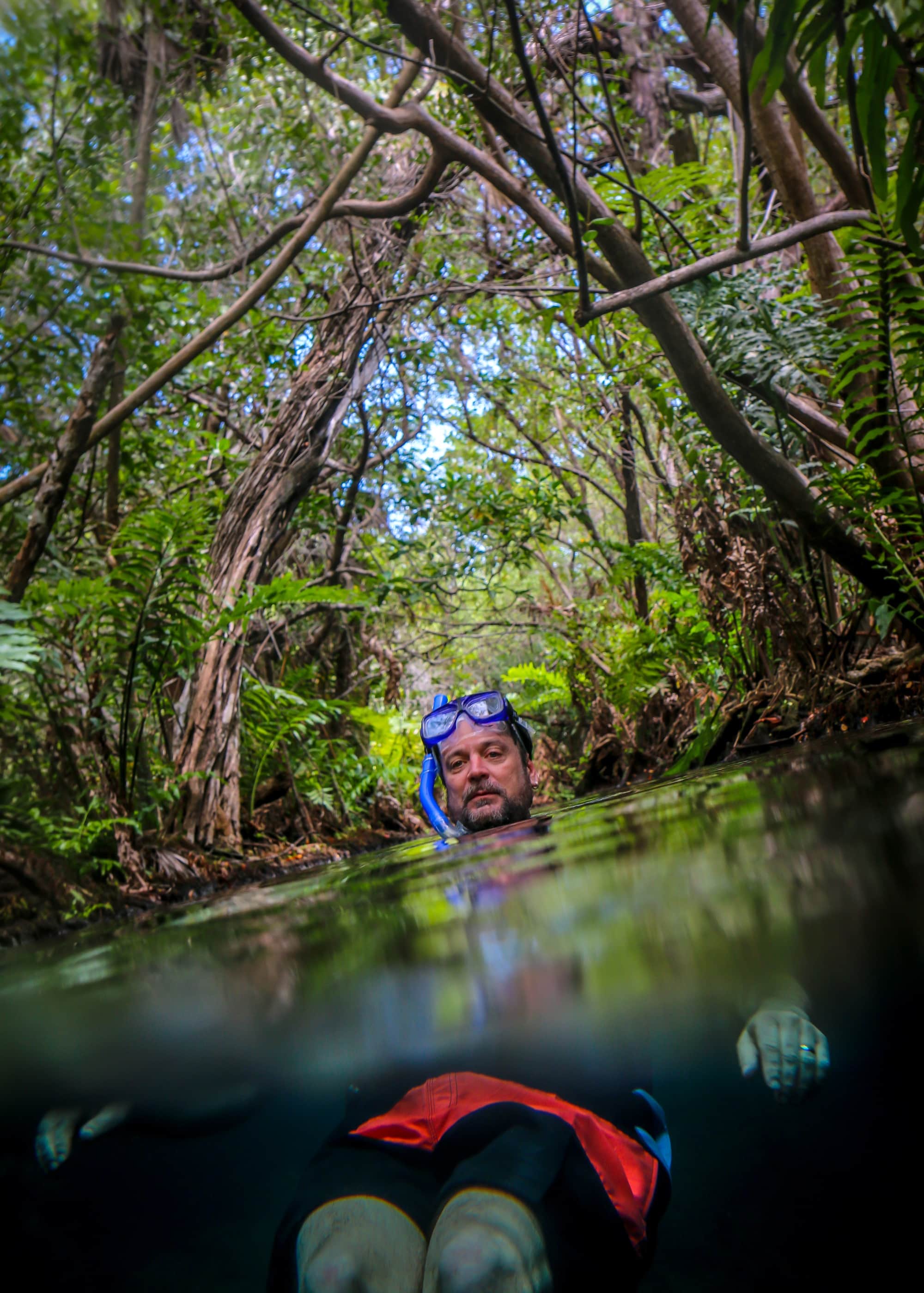 Rio Selva at Hacienda Tres Ríos 