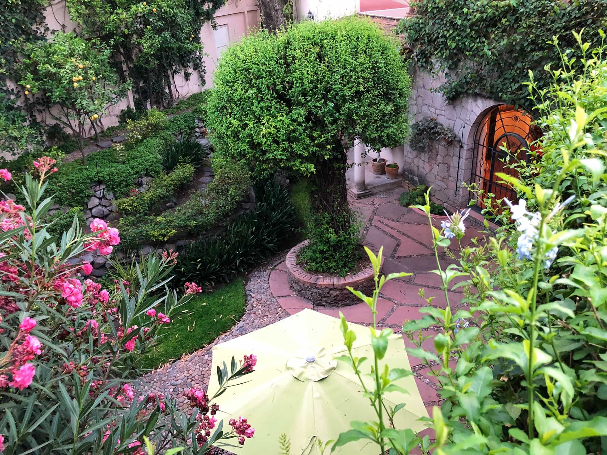 I was in love with the backyard at our San Miguel de Allende rental home