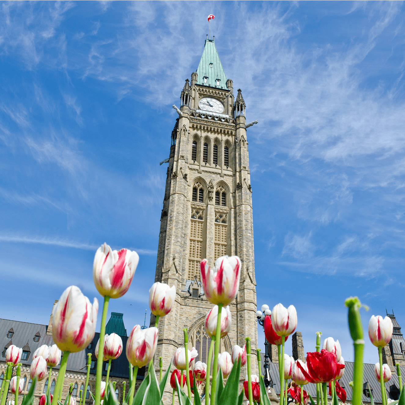 ottawa with kids