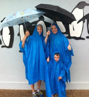 Embrace the rain at SeaWorld Orlando! 