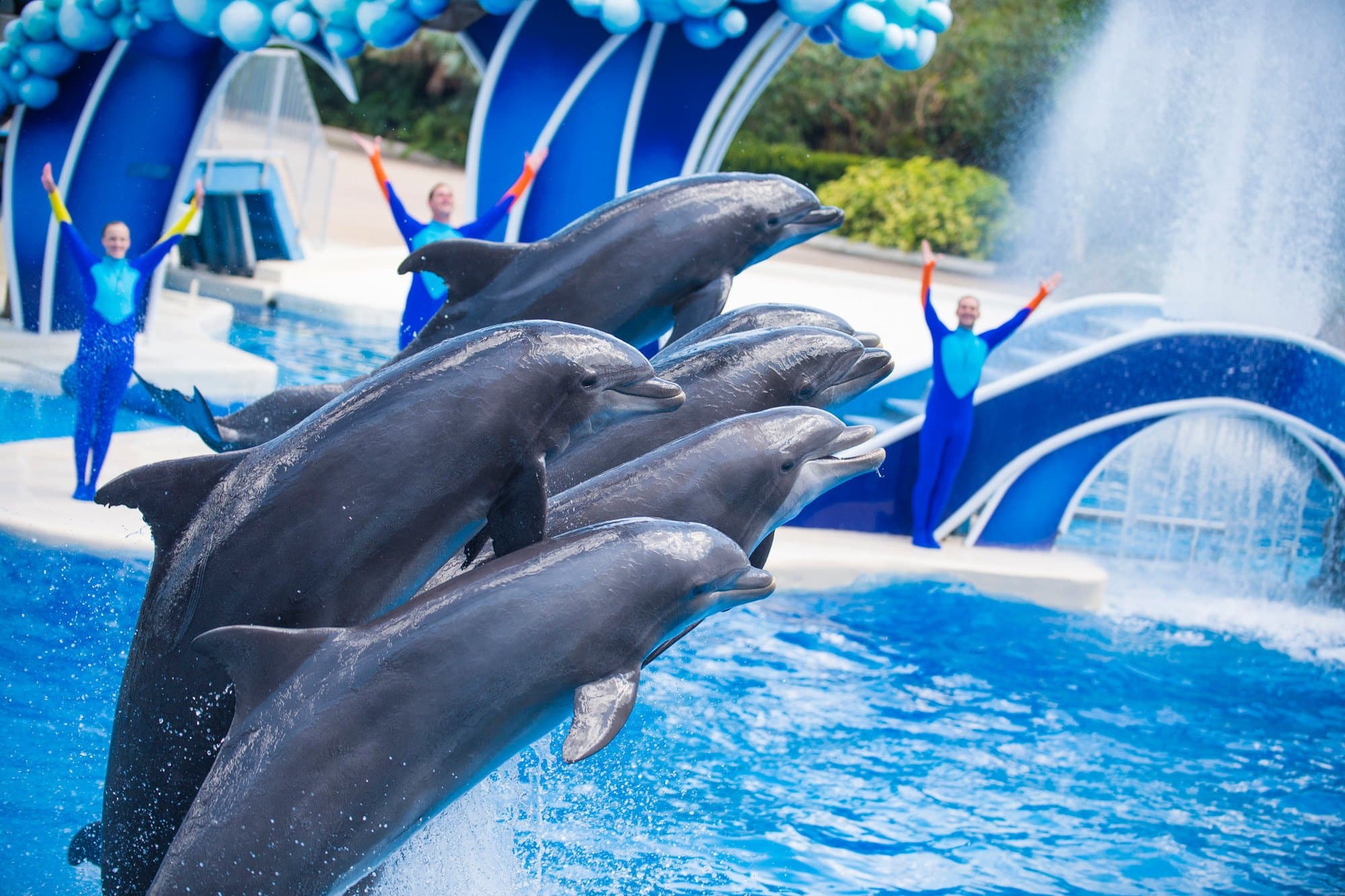 Unless there's lightning or thunder, the show will go on at SeaWorld Orlando, even in the rain