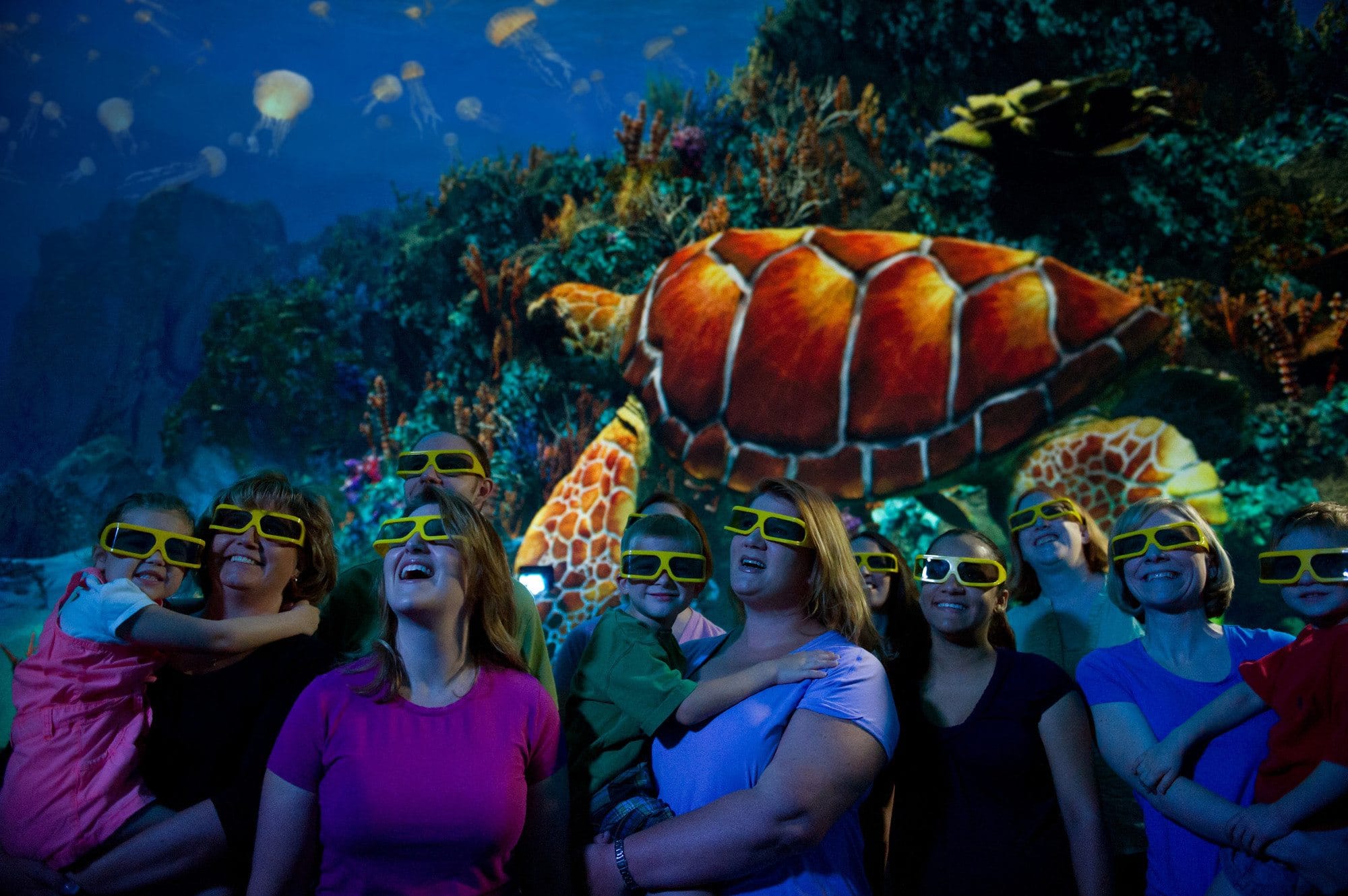 Escape the rain at SeaWorld Orlando by watching the Turtle Trek 3-D movie 