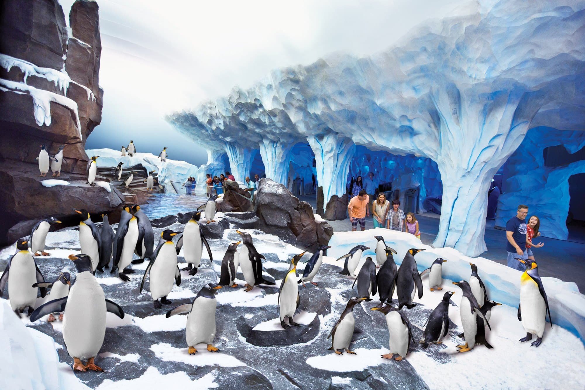 Indoor exhibits, like Antarctica: Empire of the Penguin, provide a reprieve at SeaWorld Orlando in the rain