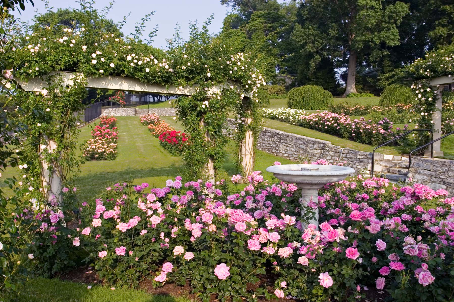 Stop to smell the roses at Hershey Gardens in Hershey, Pennsylvania with kids