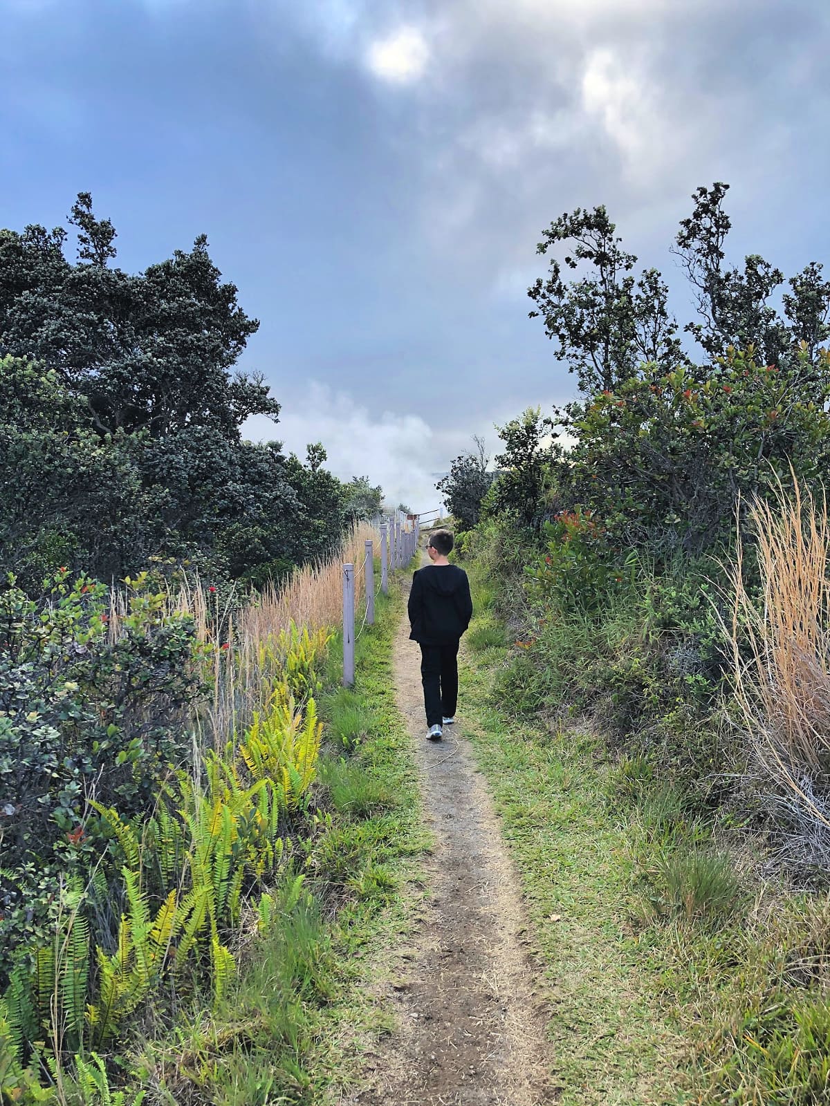 Thankfully my son, Leo's asthma was not aggravated at Hawaii Volcano National Park 