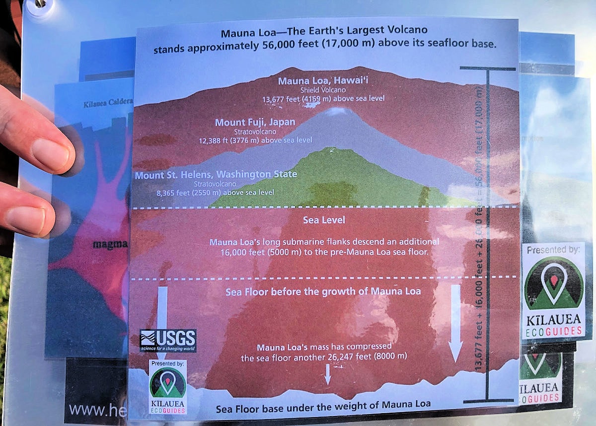 Visual graphics help kids and adults learn about volcanoes and Hawaii during the private walking tour