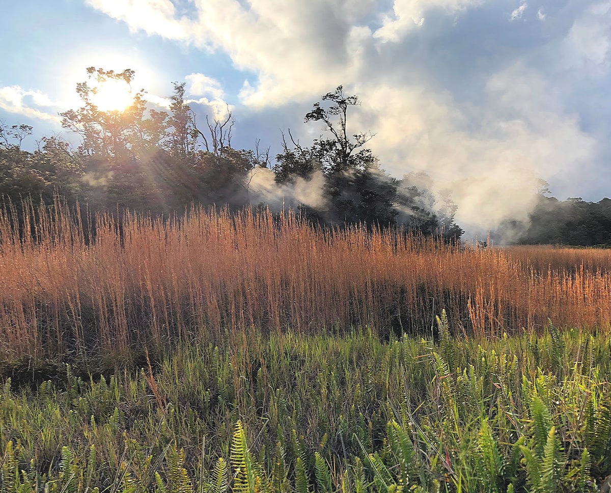 Volcanic steam rising from the ground in Volcanoes National Park with kids