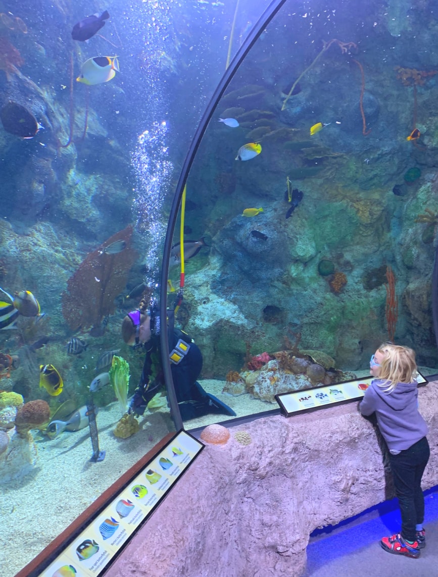 Kids love getting up close to fish...and aquarium staff at the ABQ BioPark 