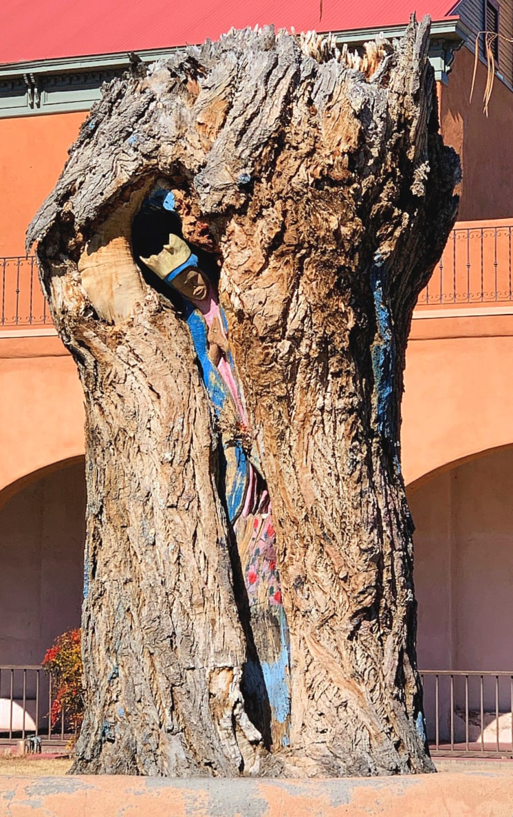 Look for La Virgen de Guadalupe Tree in Old Town Albuquerque