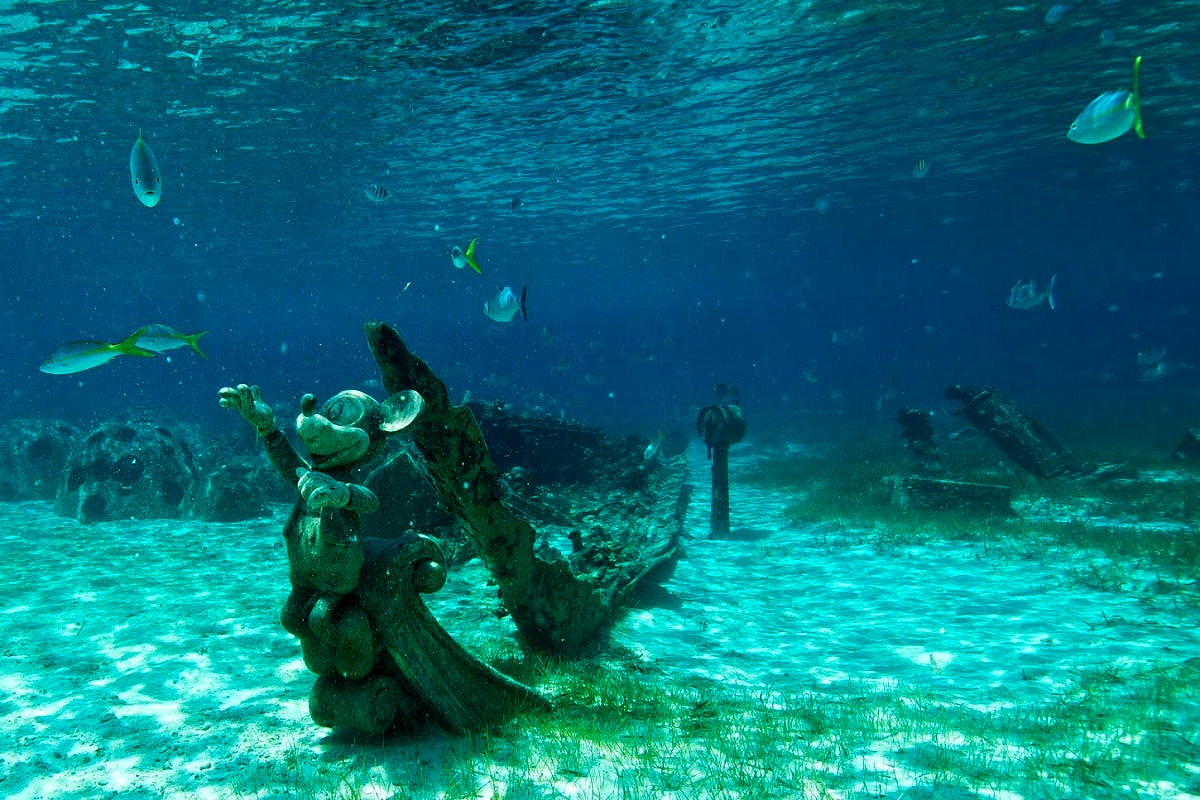 Rent or bring snorkeling gear to explore underwater wonders at Castaway Cay