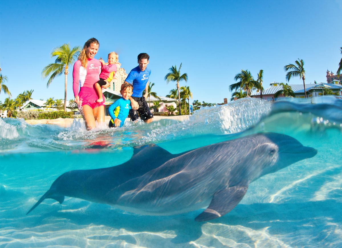 Dolphin Cay at Atlantis Bahamas with kids