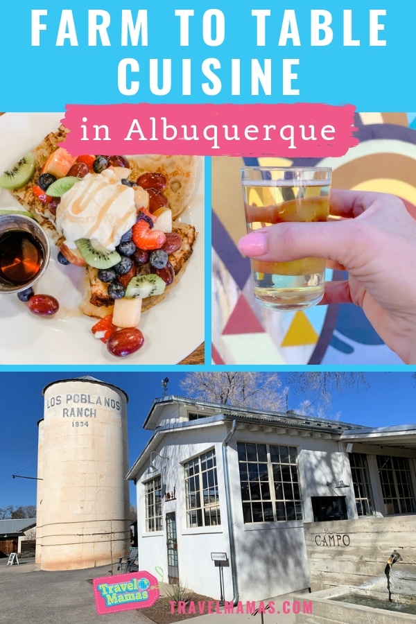 Farm to Table Cuisine in Albuquerque, New Mexico