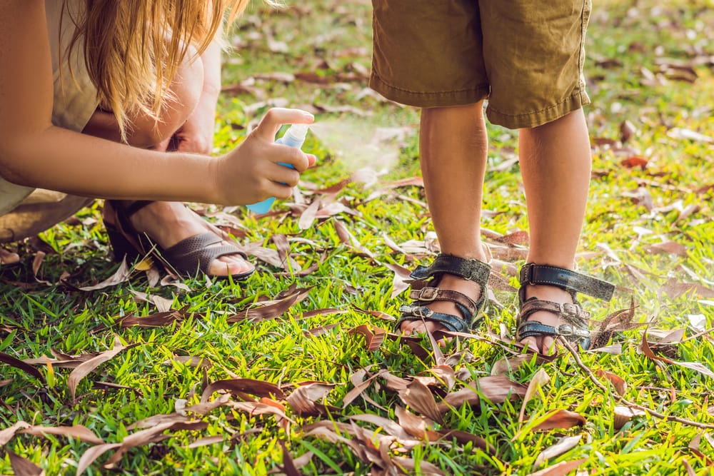 Use insect repellent spray to avoid bug bites when traveling with children