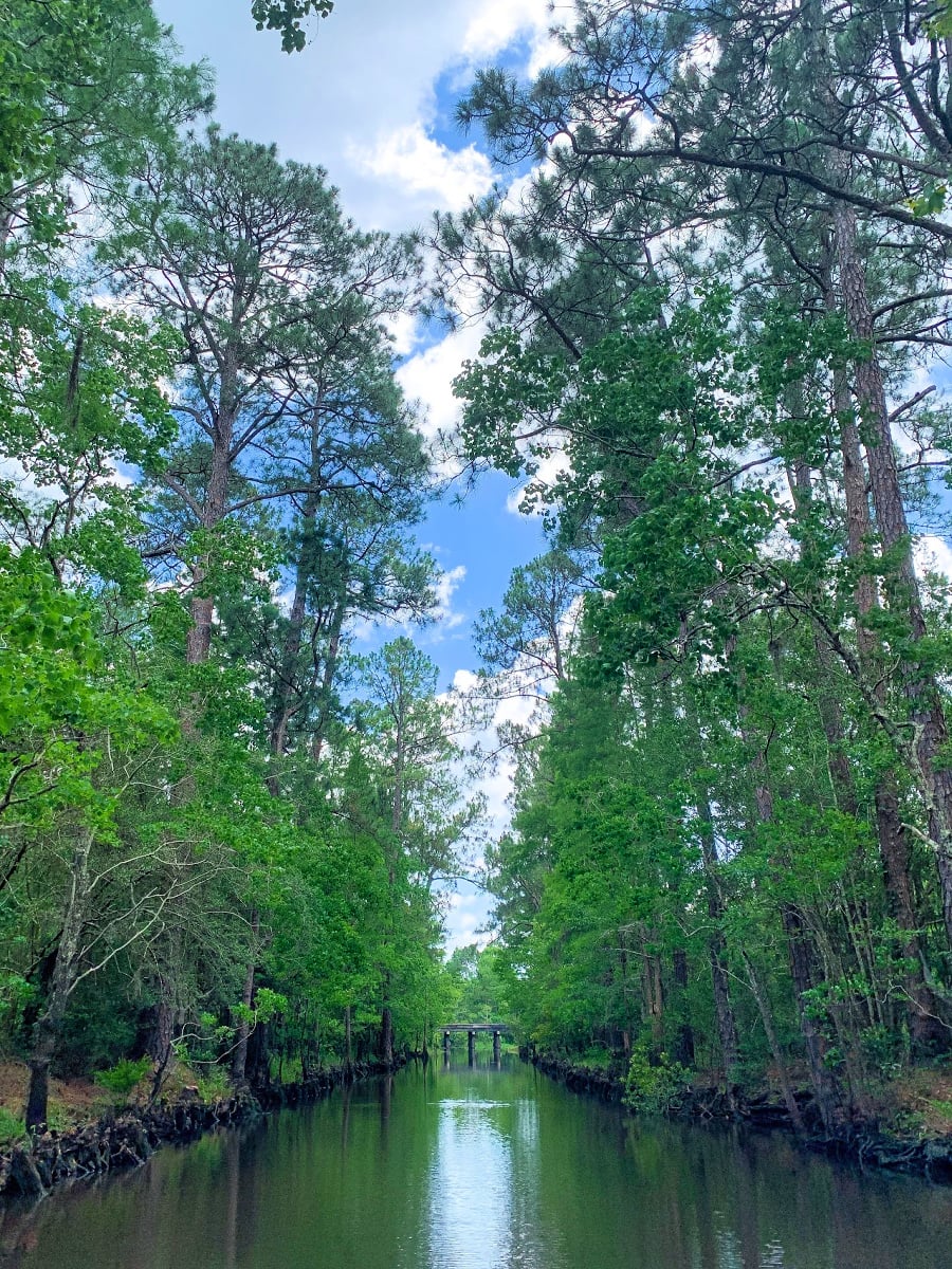 Bayou view at Gulf Coast Gator Ranch & Airboat Tours