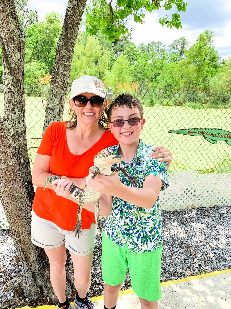 Baby alligator at Gulf Coast Gator Ranch & Airboat Tours