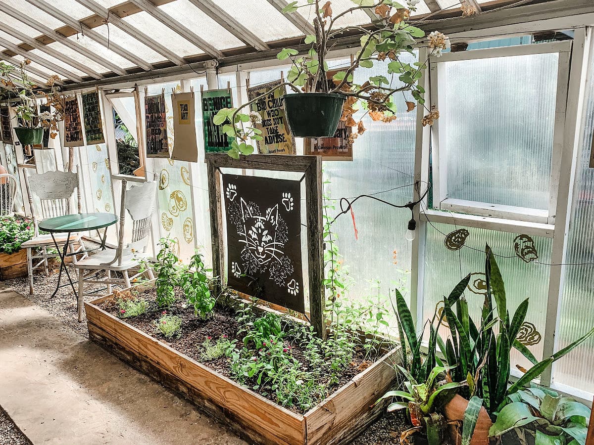 Inside Greenhouse on Porter Ave in Ocean Springs, Mississippi