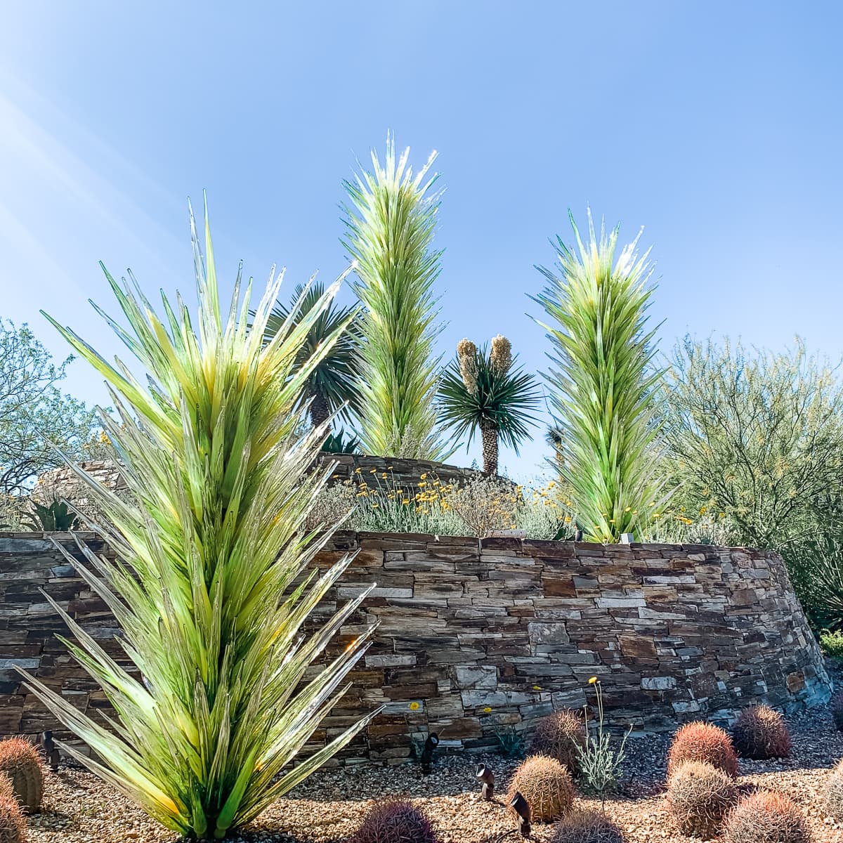 Chihuly glass sculptures at the Desert Botanical Garden