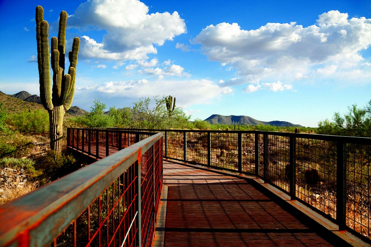 Gateway Trailhead to the McDowell Mountain Preserve in Scottsdale