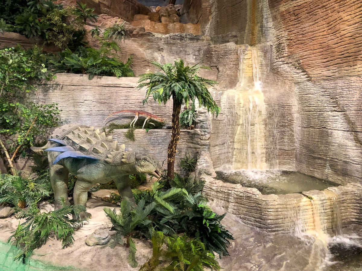 Dinosaur Mountain at Arizona Museum of Natural History