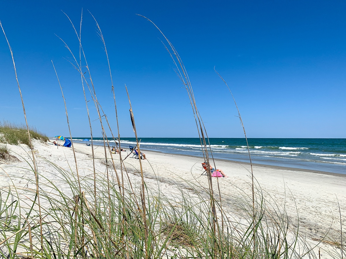 Huntington Beach State Park in Myrtle Beach, South Carolina