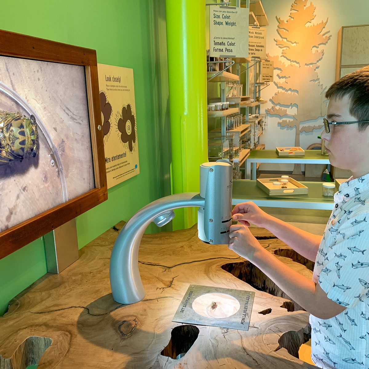 Exploring nature up-close at the Louisiana Children's Museum