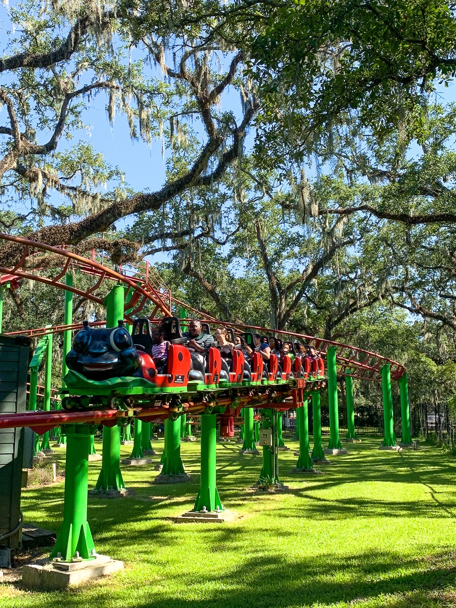 Live Oak Lady Bug Rollercoaster at Carousel Gardens Amusement Park for kids in New Orleans