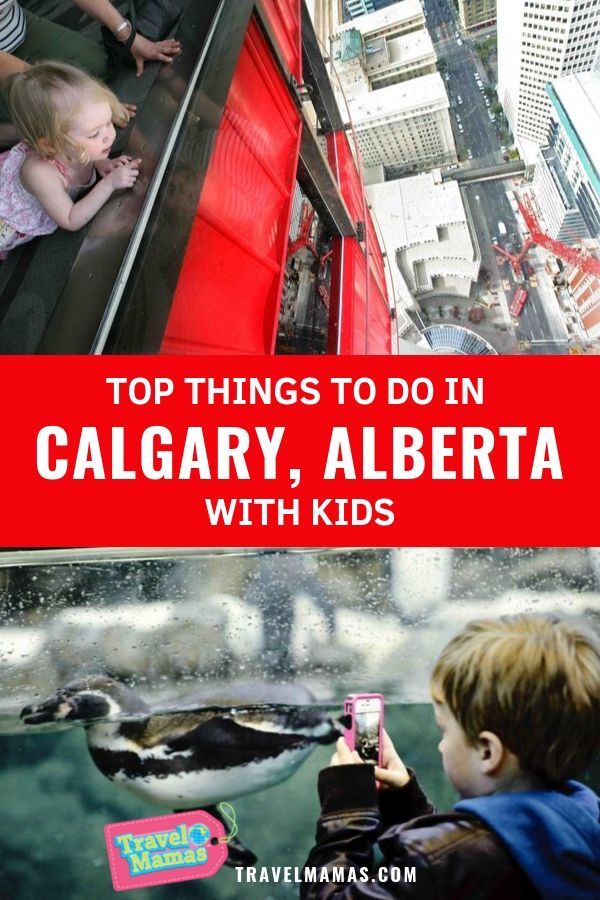 Things to Do in Calgary with Kids