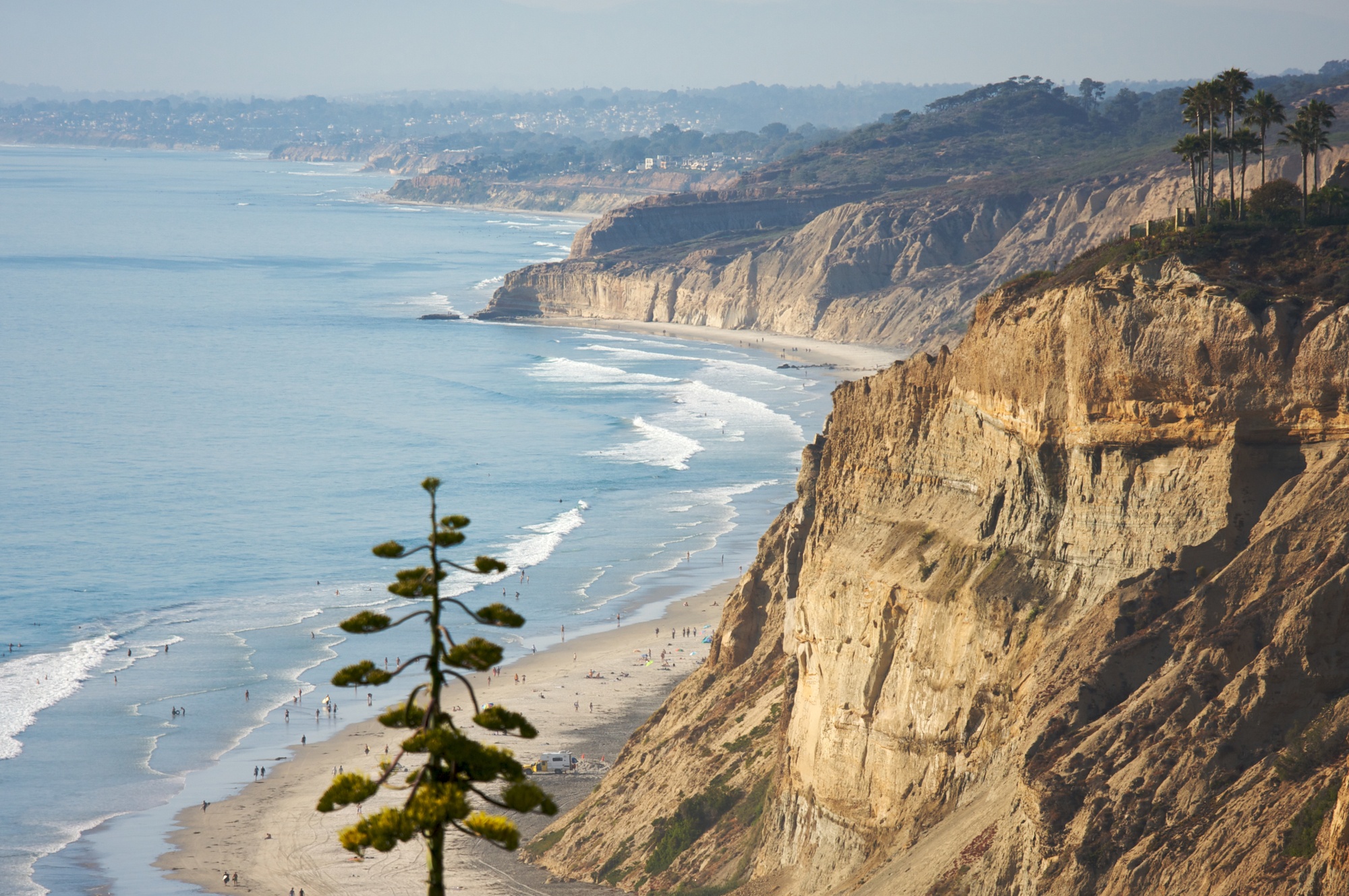 Torrey Pines State Natural Reserve in San Diego County