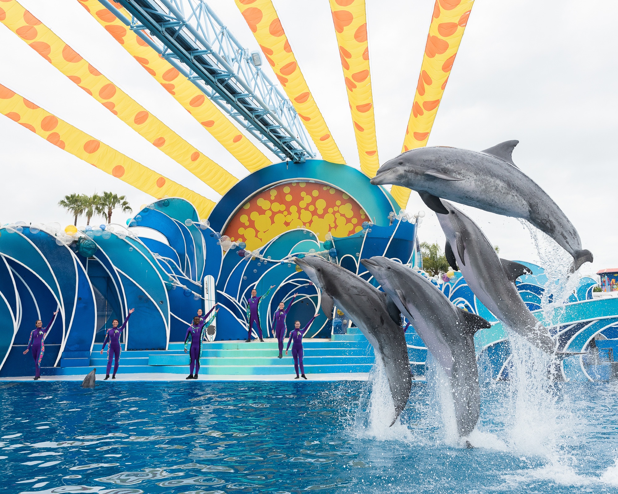 Dolphin Days show at SeaWorld San Diego