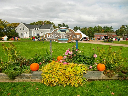 Wolfe's Neck Farm in Freeport, Maine