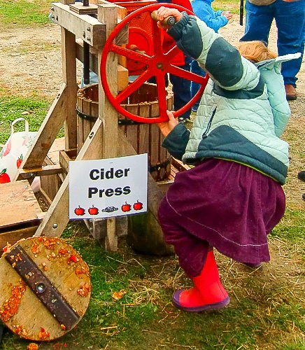 Child pressing apple cider at Wolfe's Neck Farm Fall Festival