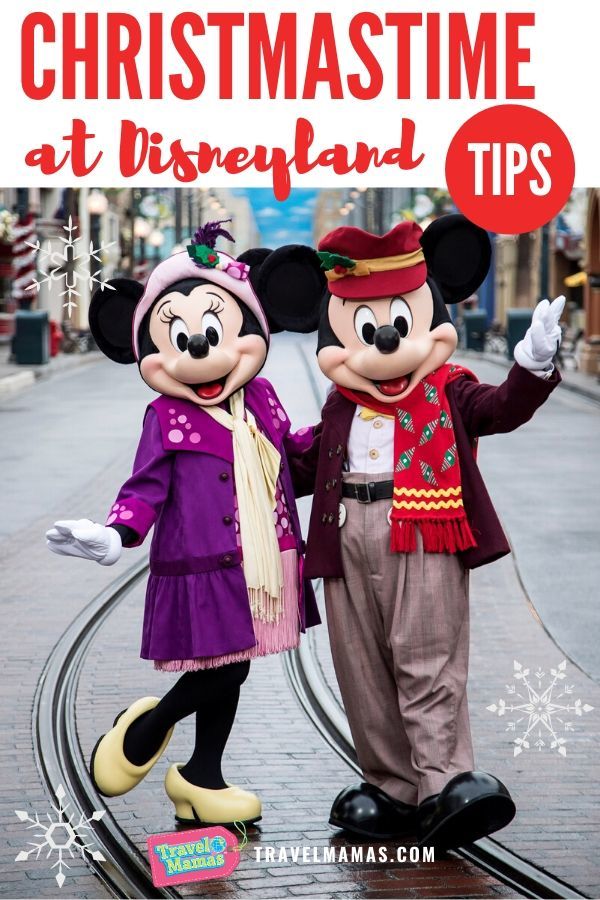 Christmas at Disneyland Tips