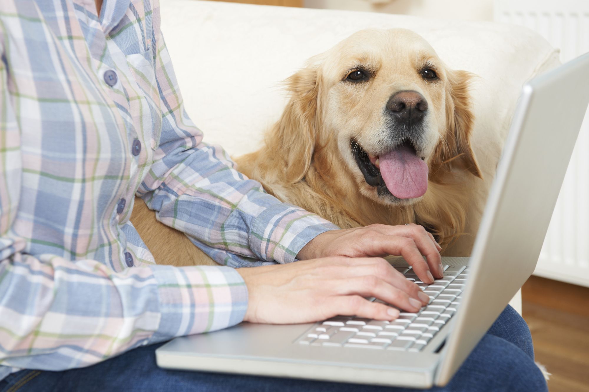 Dog owner signing up for Rover.com