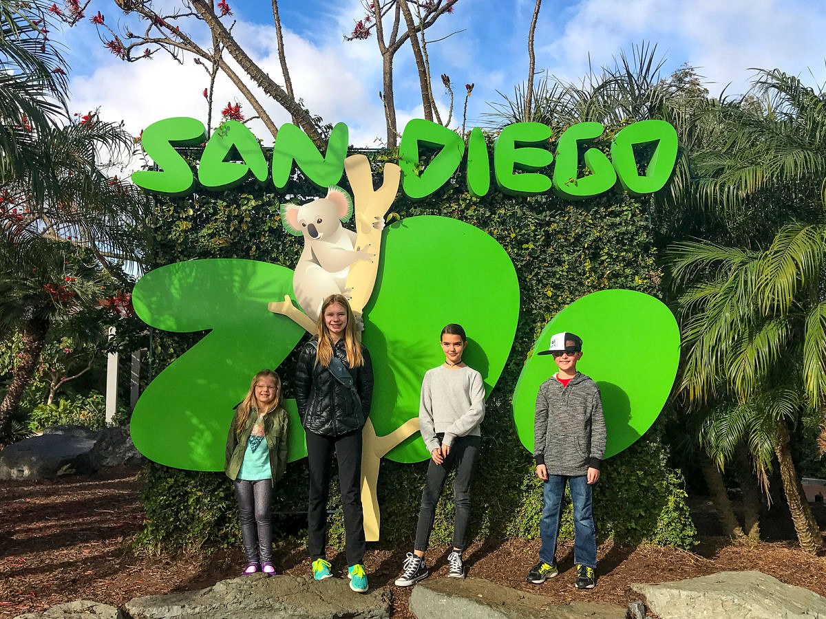 Kids of all ages at the San Diego Zoo 