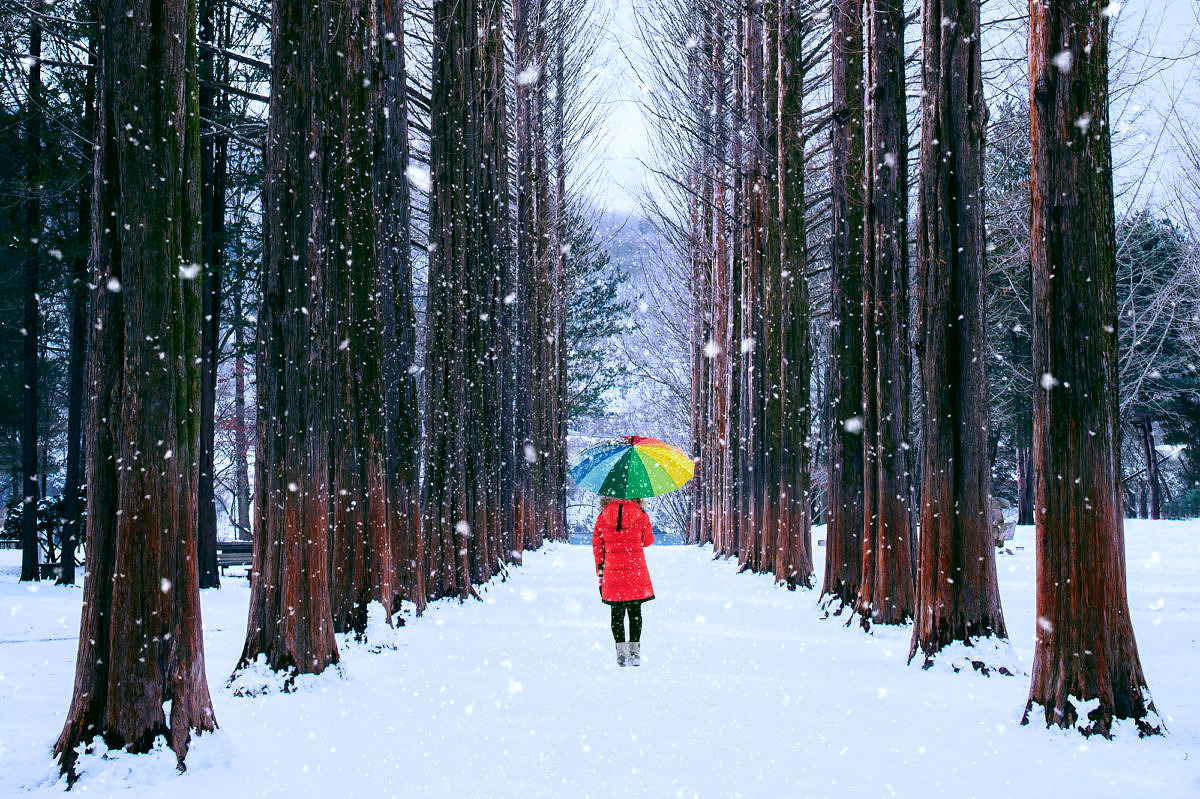 A solo walk in the snow away from the holiday hubbub