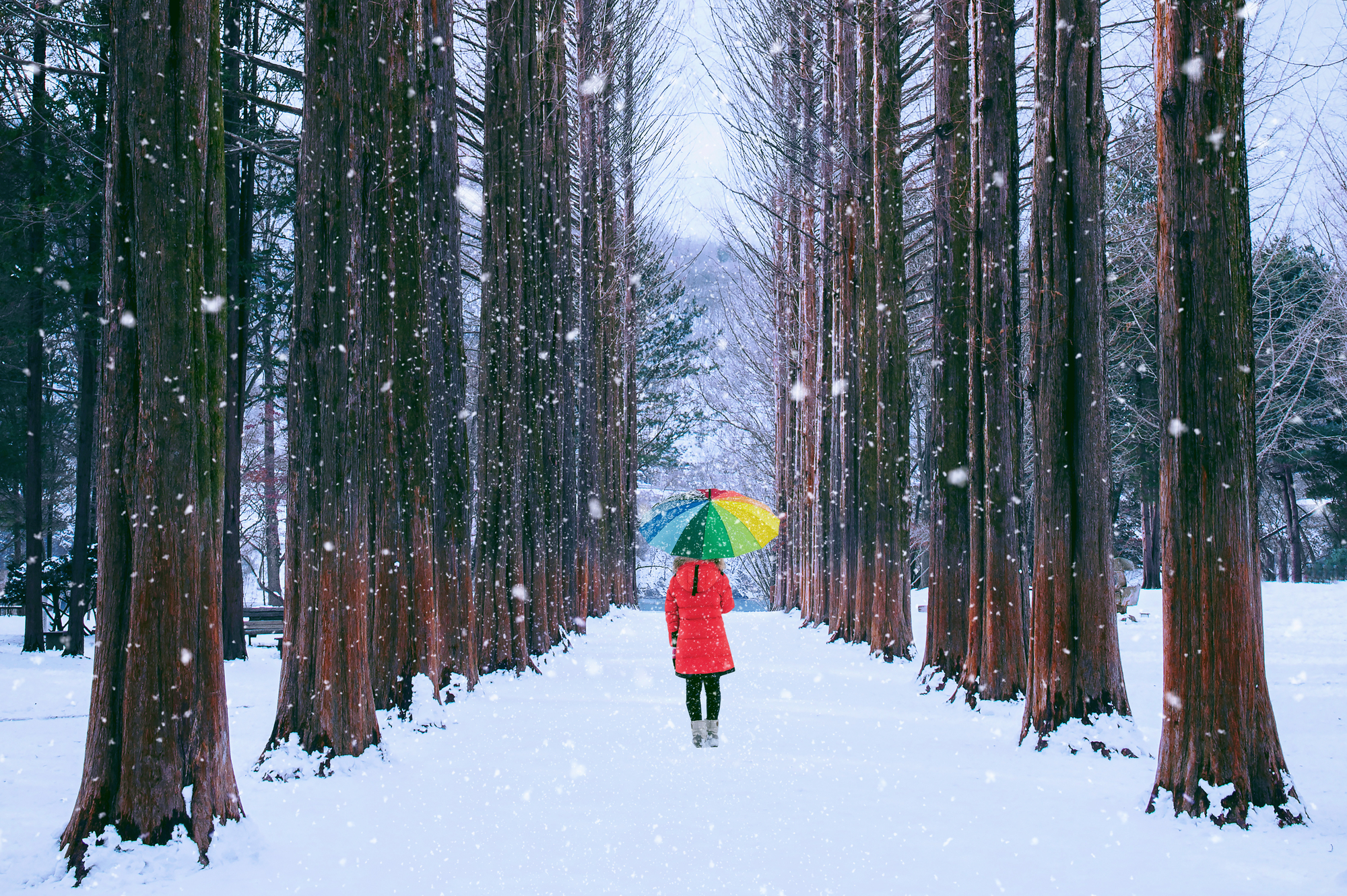 A solo walk in the snow away from the holiday hubbub