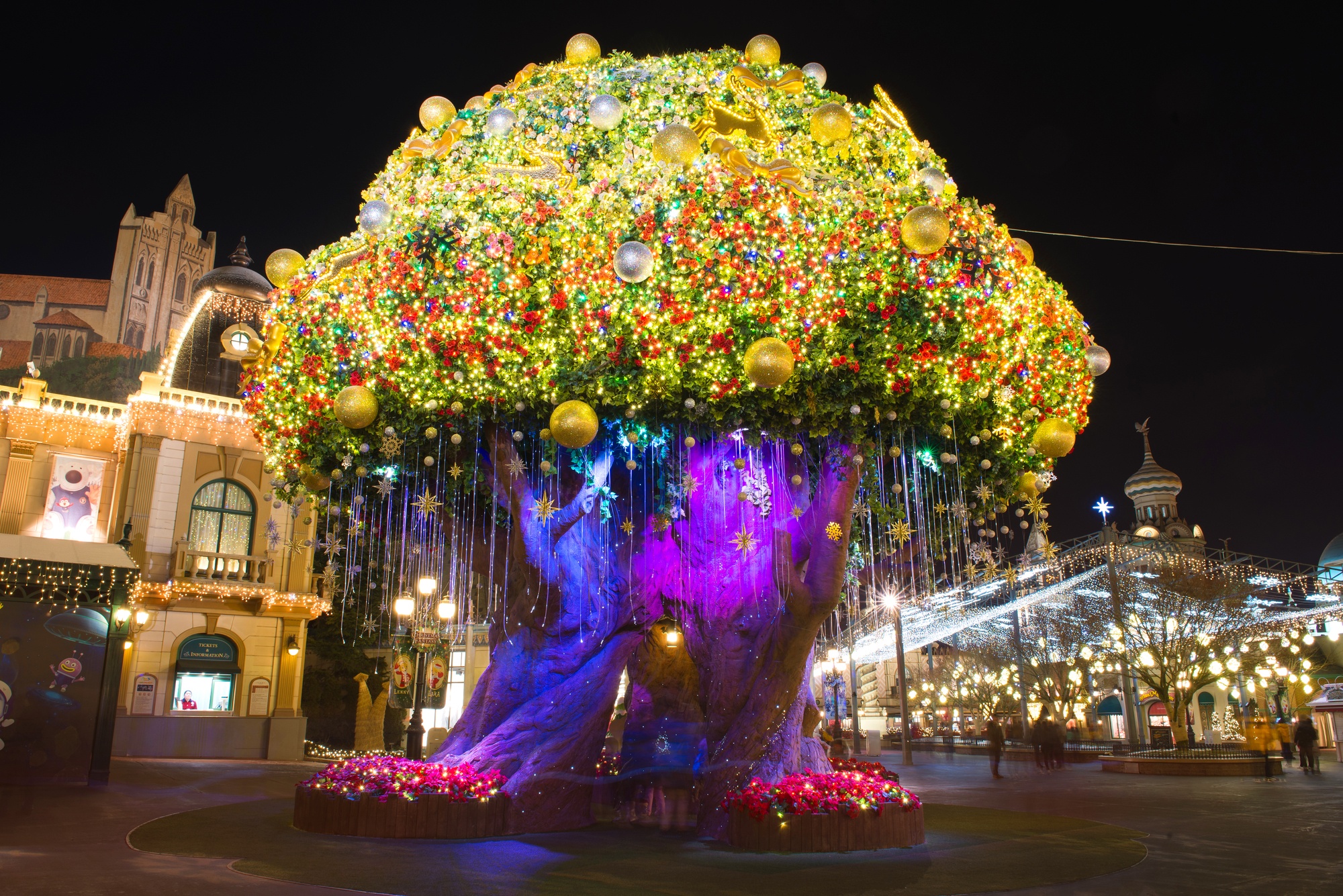 Everland Amusement Park in Seoul, Korea