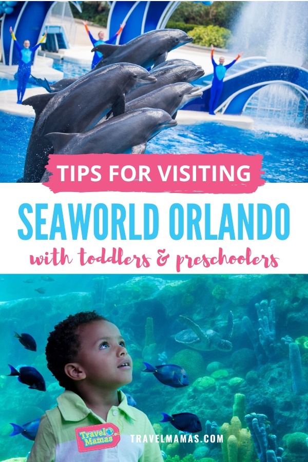 Tips for Visiting SeaWorld Orlando with Toddlers, Preschoolers and Babies