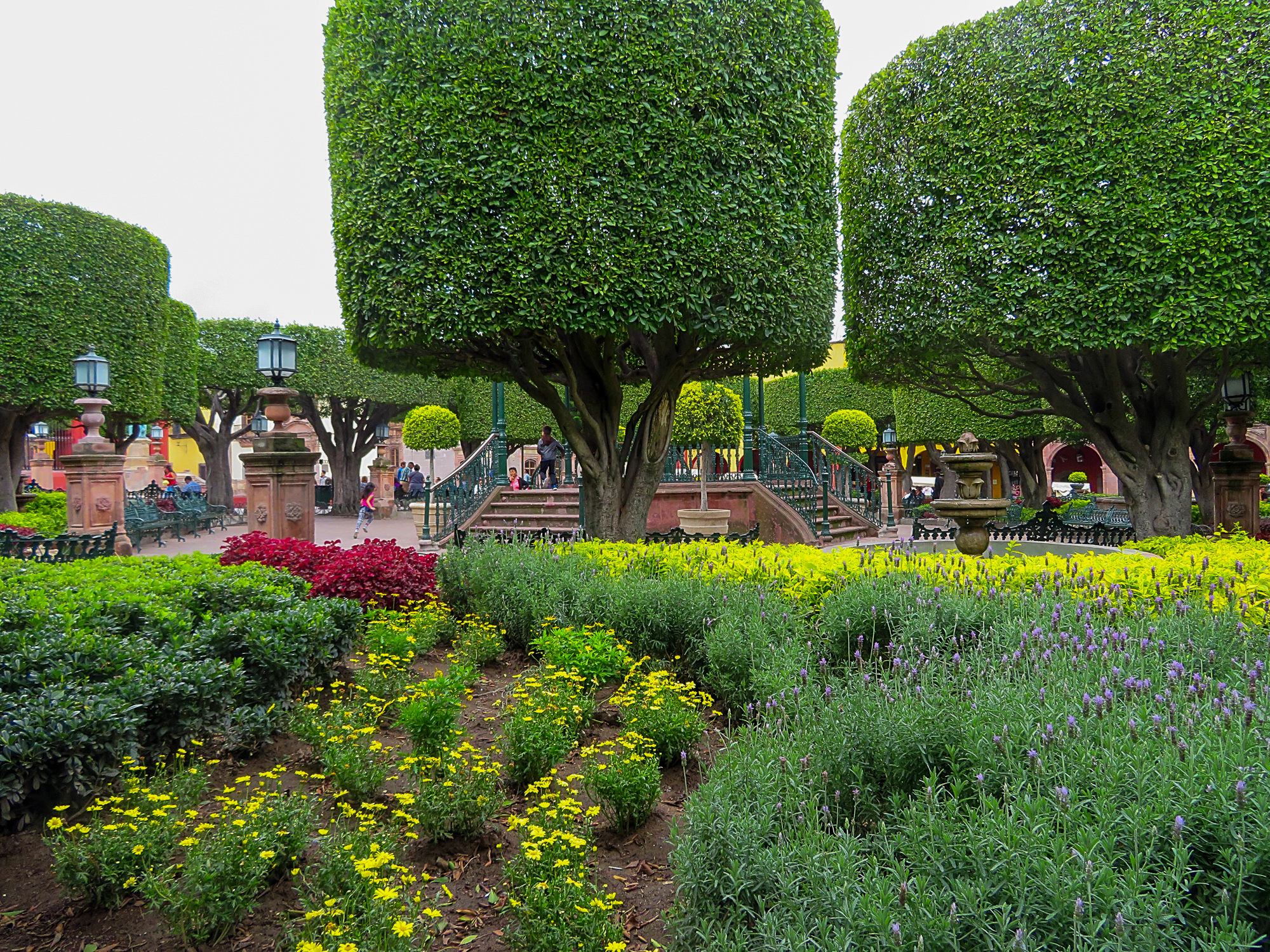 San Miguel de Allende's Jardín