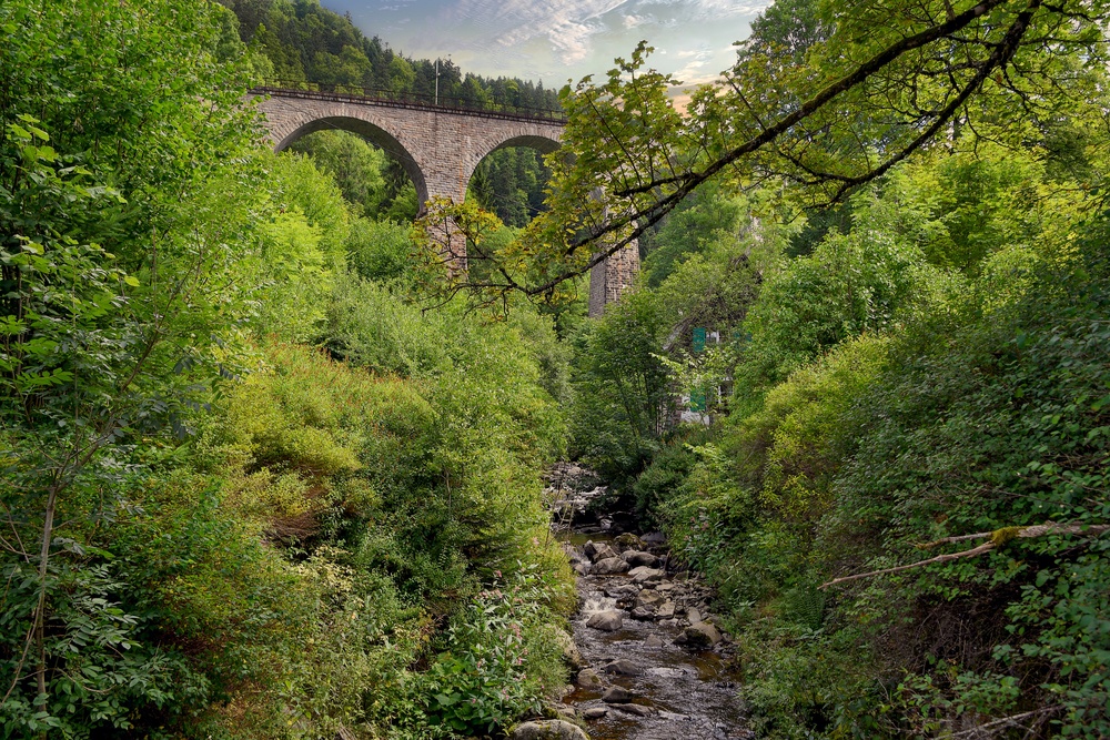 Germany's Black Forest